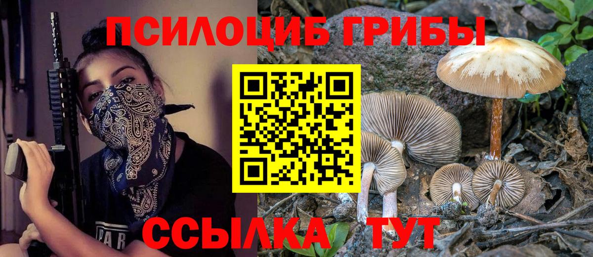 Псилоцибиновые грибы Psilocybine cubensis Белогорск
