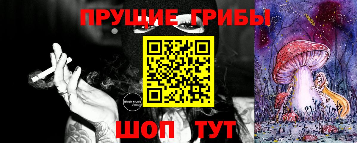 Галлюциногенные грибы мицелий  Галлюциногенные грибы Psilocybine cubensis  Белогорск  Вход с VPN 